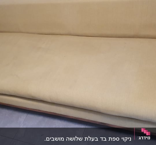 ספה בצבע בז